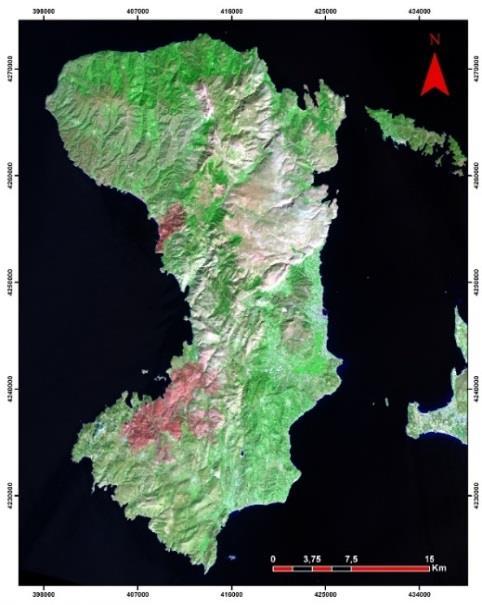 ηλεκτρομαγνητικού φάσματος, ενώ υπάρχει και παγχρωματική καταγραφή στα 500-680nm. Κάθε σκηνή καλύπτει μια επιφάνεια 170x185km με ανάλυση 30m για το όργανο OLI (το παγχρωματικό καταγράφει στα 15m).