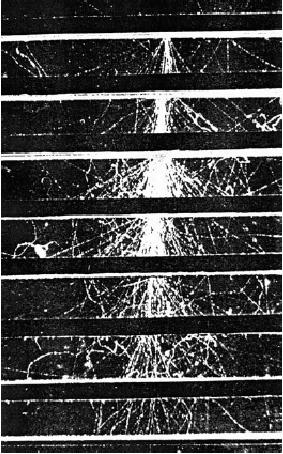 Σωμάτια & Αντισωμάτια Πειραµατική παρατήρηση Ποζιτρονίων (αντιϋλης) στους ηλεκτροµαγνητικούς καταιγισµούς Ηλεκροµαγνητικοί