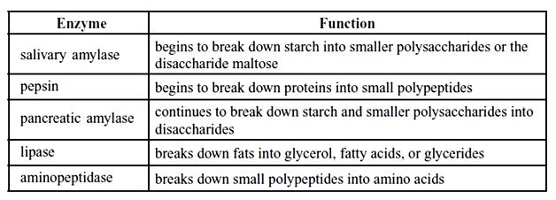 Ένζυμα με πεπτικές