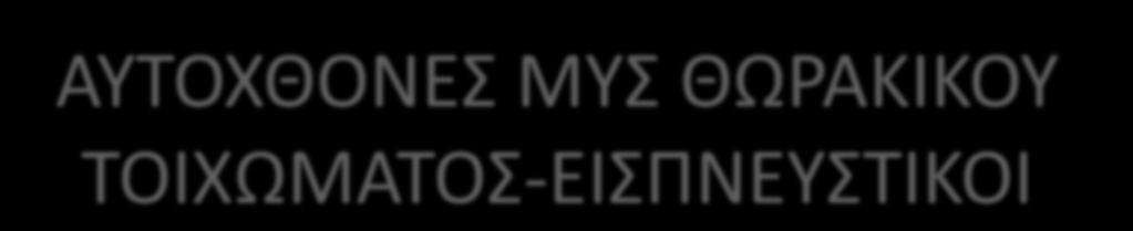 ΑΥΤΟΧΘΟΝΕΣ ΜΥΣ ΘΩΑΚΙΚΟΥ ΤΟΙΧΩΜΑΤΟΣ-ΕΙΣΡΝΕΥΣΤΙΚΟΙ Οπ. άνω οδοντωτόσ: ανυψϊνει 4 άνω πλευρζσ, αυξάνει Ρ-ΟΡ διάςταςθ, ανυψϊνει ςτζρνο. Οπ. κάτω οδοντωτόσ: χαμθλϊνουν κατϊτερεσ πλευρζσ για να μθ ςυρκοφν πάνω από το διάφραγμα.