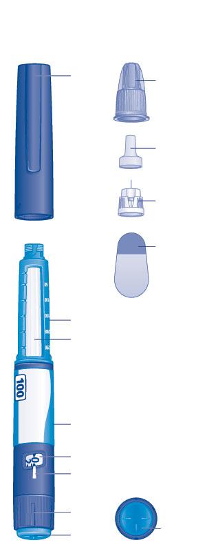 Ryzodeg προγεμισμένη συσκευή τύπου πένας και βελόνα (παράδειγμα) (FlexTouch) Καπάκι πένας Εξωτερικό κάλυμμα βελόνας Εσωτερικό κάλυμμα βελόνας Βελόνα Προστατε υτικό χαρτί Κλίμακα ινσουλίνης Παράθυρο