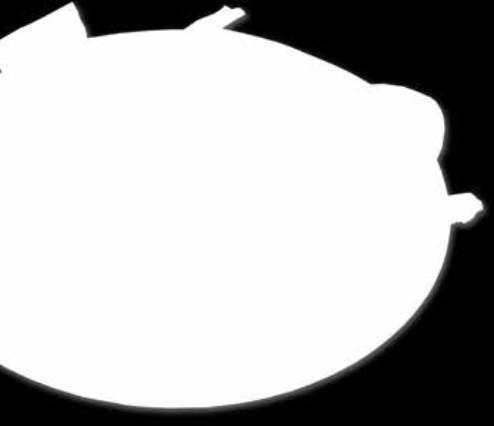 rice Όλα τα πιάτα συνοδεύονται από πατάτες Νάξου, τζατζίκι, κρεμμύδι, ντομάτα ή ρύζι All