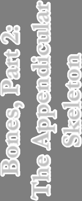 Bones,