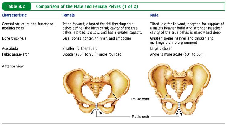 Female and Male