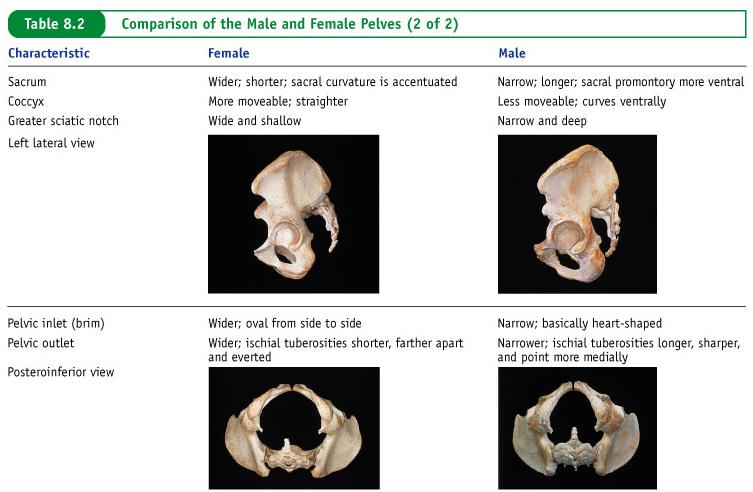 Female and