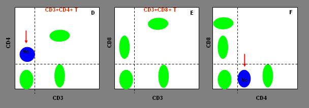 CELLS T-NK