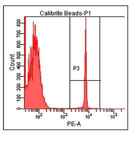 Είδη και σχήματα περιοχών και gates polygon quadrant rectangular ellipsoid - Οι πολυγωνικές,