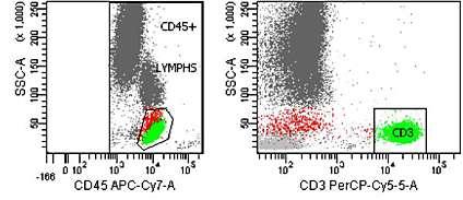 Τα CD4+ Τ