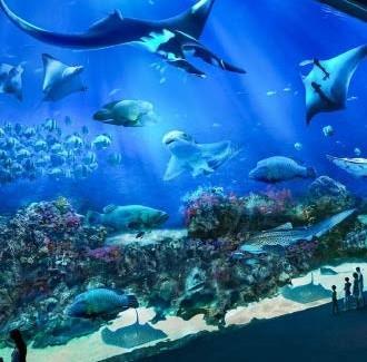 COMBO: UNIVERSAL STUDIOS SINGAPORE & S.E.A AQUARIUM DAY PASS Έναρξη: 09:00 Διάρκεια: 8,5 ώρες UNIVERSAL STUDIOS & AQUARIUM Το Universal Studios Singapore είναι το θεαματικό πάρκο στο Resort World Sentosa.