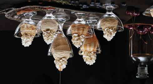 41 Ypsilon 00.14121 παγωτού, 37,5 cl 13 cm 9 cm συσκ.: 12 1,48 Palm 01.44063 παγωτού, 35 cl 9,2 cm 12 cm συσκ.