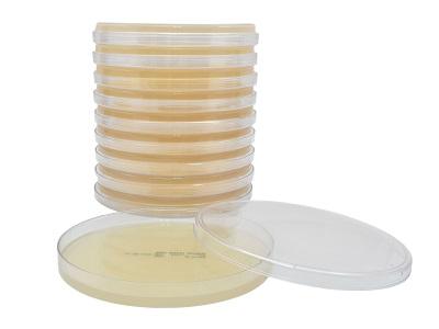 Mueller Hinton Agar (ΜΗA) Οδηγίες προτεινόμενες