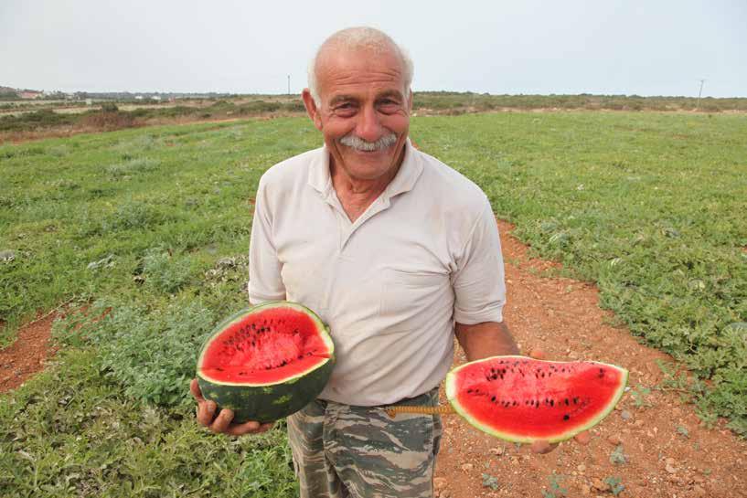 ειδικό αυτοκόλλητο που επικολλάται στους καρπούς.