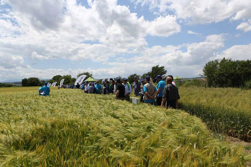 Βλαχάκης ηµήτρης Campaign Manager DFC Crops, Syngenta Hellas ΑΕΒΕ µεγιστοποίηση της παραγωγής αι η αριστοποίηση της ποιότητας η α έ ι 201 ε την εµπορική ενσωµάτωση των σπόρων σιτηρών το χα το λ ιο