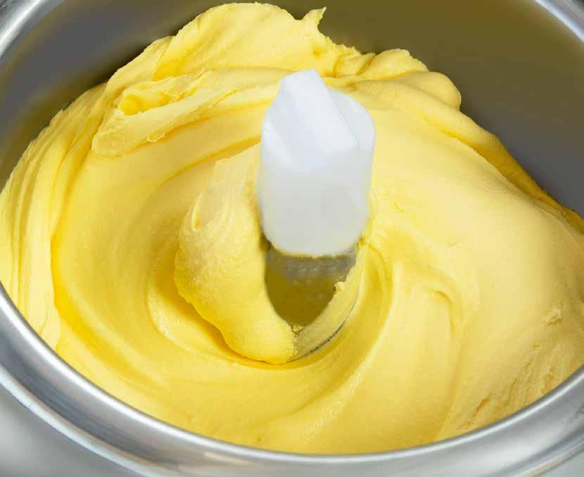 GELATO DINAMIO (ΕΙΣΑΓΩΓΉ) TM Το Gelato Dinamiko είναι μια ολοκαίνουργια και ολοκληρωμένη σειρά προϊόντων που έχουν σχεδιαστεί ειδικά για μηχανές παγωτού συνεχούς ανάδευσης.