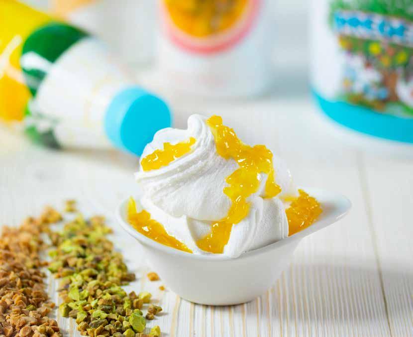 ARIEGATES ΚΑΙ FILLINGS Ένα ευρύ φάσμα από παχιές και εξευγενισμένες σάλτσες, έτοιμες για χρήση, ιδανικές για να βελτιώσουν τόσο το παγωτό όσο και τις δημιουργίες ζαχαροπλαστικής.