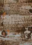HOLZANTIX 008 + MOBILACK + SHABBY PROVENCE + HARD FURNITURE OIL 4.