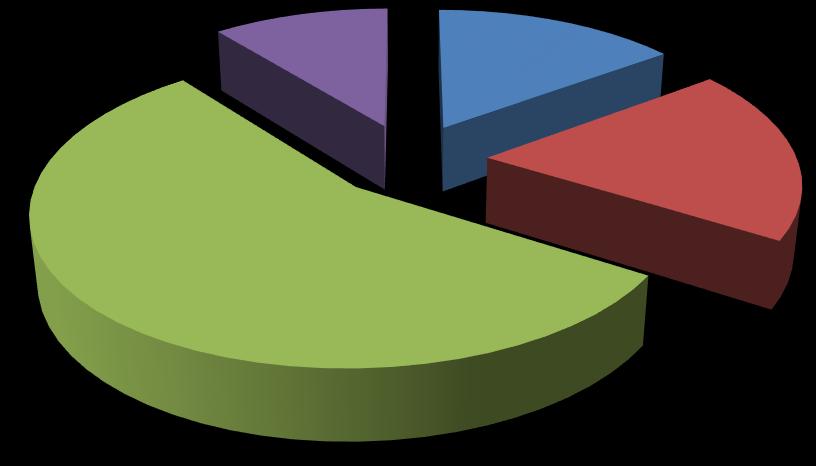 Σειρά1; ΥΕ; 13; 11%