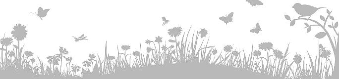 Freitag, den 20. Juni 2014 Seite 4 Kinderartikelböse mit Sommerfest in der Städtischen Kinderkrippe Stockach, Nellenbadstraße 6 am Samstag, 5. Juli von 10 bis 14 Uhr.