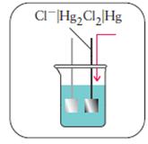 Να βρεθεί η αντίδραση του στοιχείου Pt(s) H 2 (g) HCl(aq) Hg 2 Cl 2 (s) Hg(l) και να δοθεί ένα σχεδιάγραμμά του.