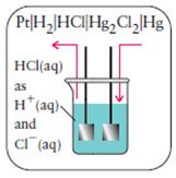 76 Να βρεθεί η αντίδραση του στοιχείου Pt(s) H 2 (g) HCl(aq) Hg 2 Cl 2 (s) Hg(l) και να δοθεί ένα σχεδιάγραμμά του.