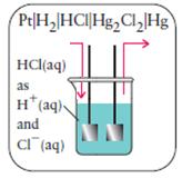 από τα παραπάνω, λαμβάνεται το σχεδιάγραμμα του στοιχείου άνοδος (-) ½ Η 2 (g) H + (aq) + e κάθοδος (+) Hg 2 Cl 2 (s) + 2e 2Hg(l) + 2Cl (aq) 6.