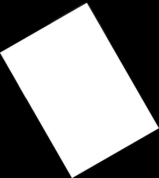 director of the Language School,