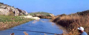 Τεχνικά