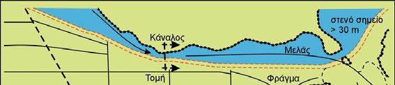 των