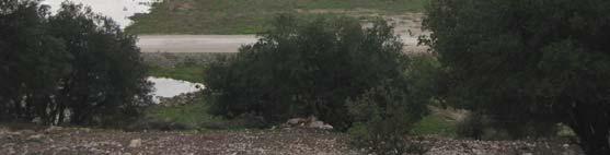 - Αρκαδία-