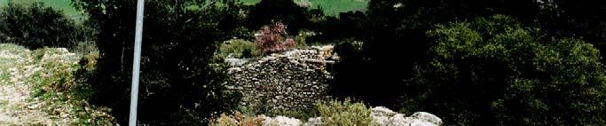 των