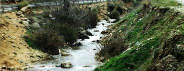 (Κανδύλα)