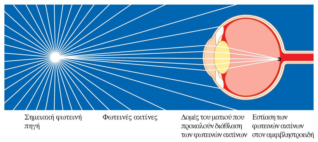 Εστίαση των αποκλινουσών φωτεινών ακτίνων Οι αποκλίνουσες ακτίνες