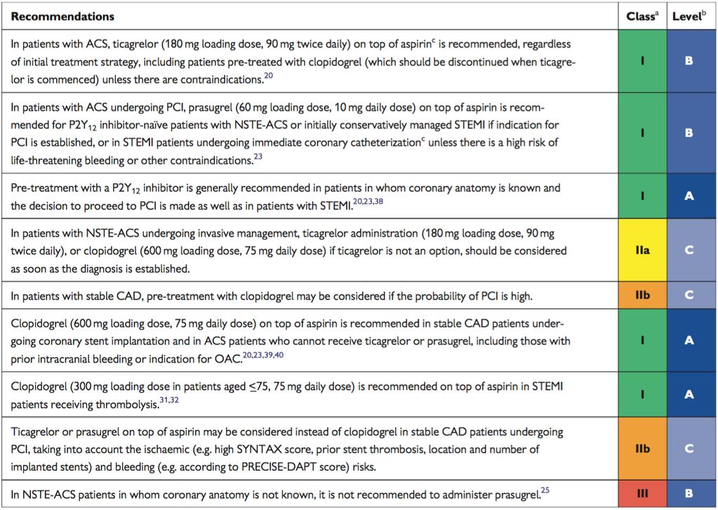 P2Y12 inhibitor