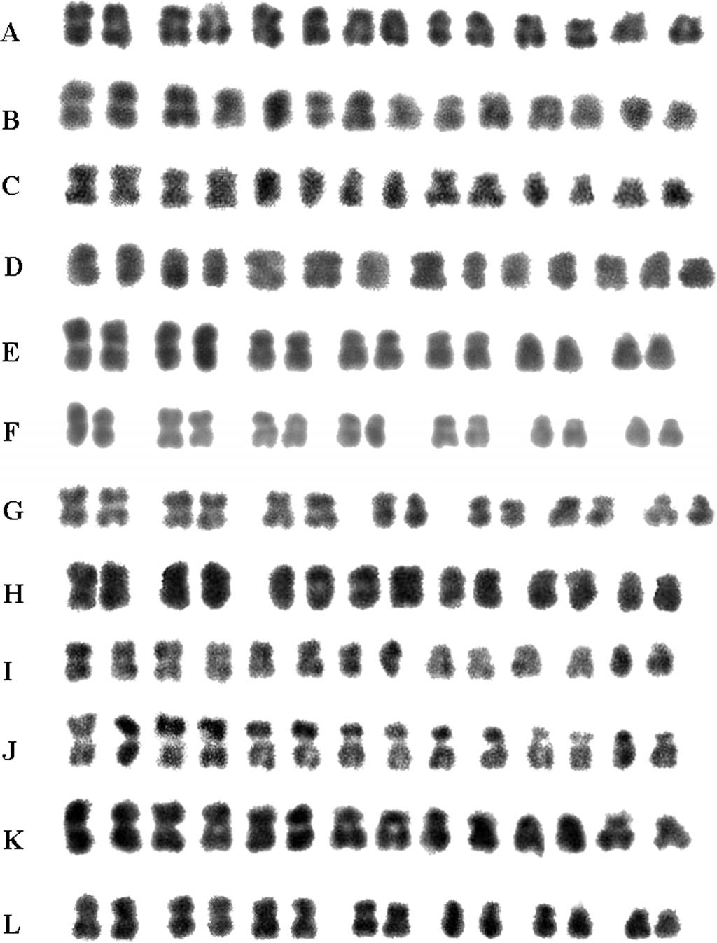360 P. Nathewet et al. Cytologia 74(3) Fig. 3. The karyotypes of wild diploid strawberries species. (A). F. bifera PI 616613. (B) F. bucharica PI 551851. (C) F. chinensis CFRA202. (D) F.