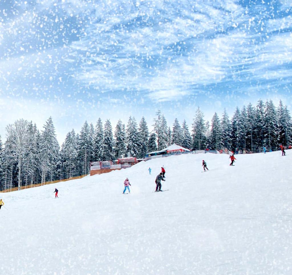 Μπόροβετς Απολαύστε τις χειμερινές σας διακοπές σε ένα από τα ιστορικότερα και μεγαλύτερα χιονοδρομικά κέντρα των Βαλκανίων, το Μπόροβετς.
