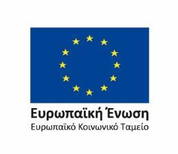 Η ίδια έκθεση παρέχει μια αίσθηση των συνολικών μεγεθών που καταγράφονται (πίνακες Ε4 - ετήσιος πίνακας προσωπικού).