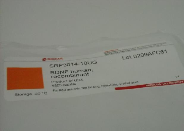 Εικόνα 2 Συσκευασία BDNF της εταιρείας sigma. Στα πιλοτικά πειράματα δοκιμάστηκε η χρήση μικροραμμάτων μεγέθους 7-0, 8-0,9-0 και 10-0.