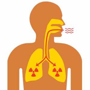Είναι βλαβερό για την υγεία το ραδόνιο; Το ραδόνιο καθώς και τα βραχύβια θυγατρικά του ραδιοϊσότοπά εισέρχονται στους πνεύμονες μέσω της αναπνοής και τους ακτινοβολούν.