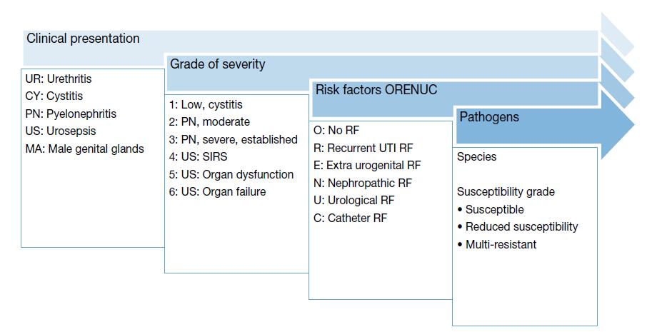 EAU: UTI classification