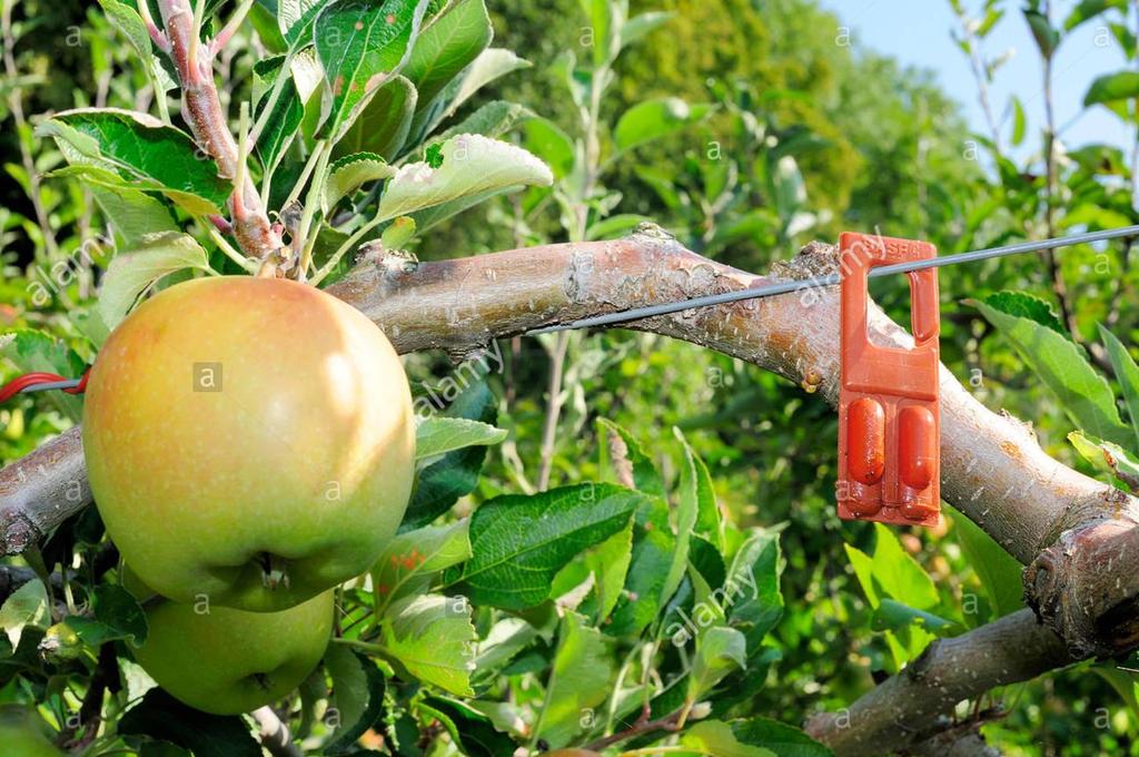 Παρακολούθηση πληθυσμών με