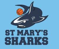 Returned 333 records S2014 Teams Team Name Singlet Number First Name Family Name U08 Boys St Marys 1 U08 Boys St Marys 2 U08 Girls St Mary's 1 U08 Girls St Mary's 2 Lewis Fisher Marco Ferronato 24