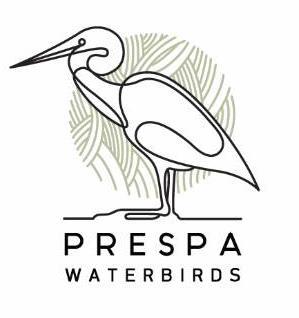 Δράσεις για την προστασία των υδρόβιων πουλιών στη Μικρή Πρέσπα: συμβάλλοντας στην προσαρμογή των οικοσυστημάτων στην κλιματική αλλαγή και δημιουργώντας