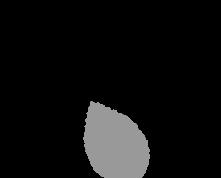 09-15.