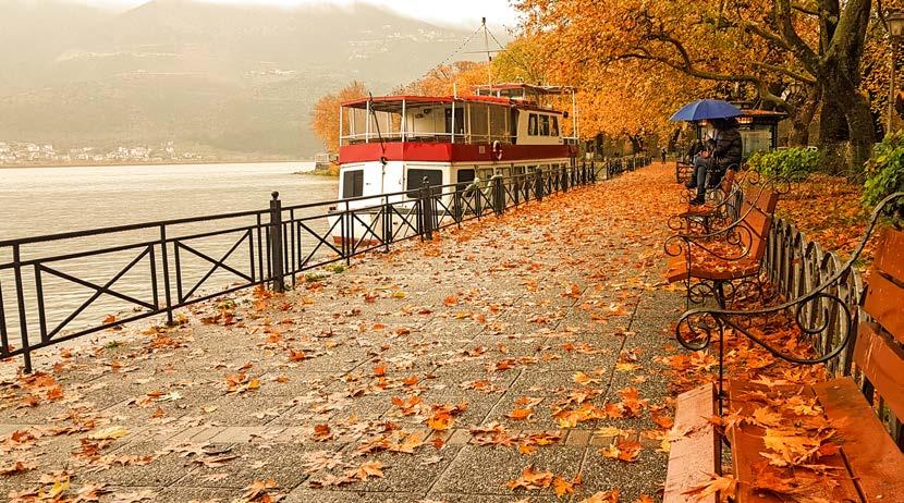 Πανόραμα Ιωαννίνων Πάπιγκο - Μέτσοβο - Δωδώνη ΤΑ ΞΕΝΟΔΟΧΕΙΑ ΜΑΣ ΣΤΑ ΙΩΑΝΝΙΝΑ THE LAKE HOTEL 1 ΠΑΙΔΙ ΔΩΡΕΑΝ ΗΜΙΔΙΑΤΡΟΦΗ AΦΙΞΗ ΝΥΧΤΕΣ 3ο ΆΤΟΜΟ 1ΚΛΙΝΟ 26/10 2 140 80 225 25/10 3 205 85 325 1ο παιδί έως