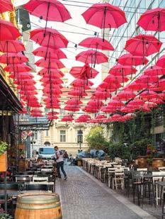Θα γνωρίσουμε το ρινγκ με την Όπερα, τα μουσεία Φυσικής Ιστορίας και Καλών Τεχνών, το Κοινοβούλιο, το Δημαρχείο, το Πανεπιστήμιο, τα Ανάκτορα Χόφμπουργκ, τον Καθεδρικό Ναό του Αγίου Στεφάνου.
