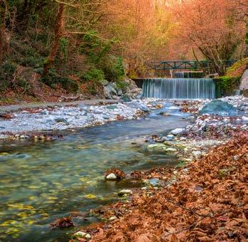 Συνεχίζουμε και φθάνουμε στην Καστοριά. Άφιξη στο ξενοδοχείο της επιλογής σας LIMNEON RESORT & SPA 4* ή TSAMIS HOTEL 3* SUP. Τακτοποίηση στα δωμάτια και δείπνο.