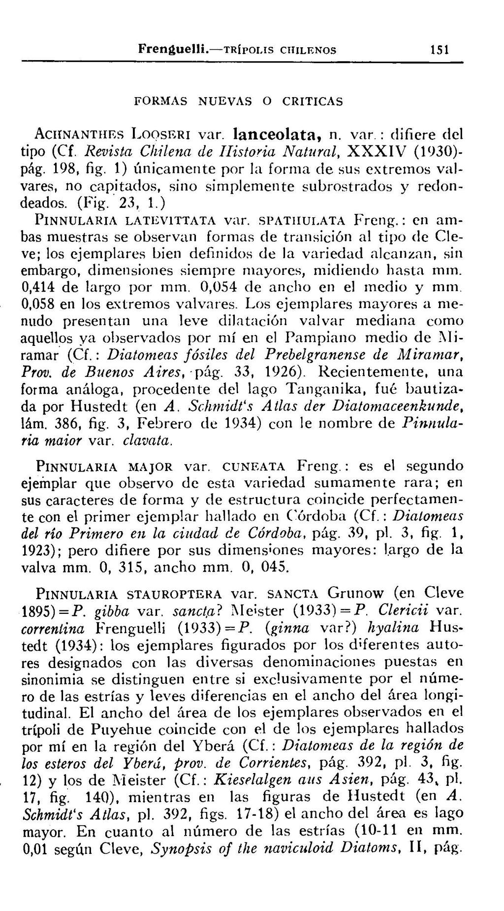 Frenguelli TR(POI IS CHILENOS 151 FORMAS NUEVAS O CRITICAS ACHNANTHES LOOSERI var lanceolata, n var: difiere del tipo (Cf Chilena de Ilistoria Natural, XXXIV (1930)- pág 198, fig 1) únican1ente por