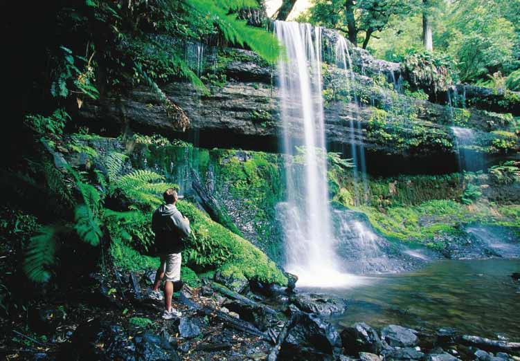 Russell Falls Mt Field National Park, Russell Falls, Salmon Ponds Russell Falls Operates: TUES, SUN Departs: 9.15am Returns: 4.00pm Tour 780 Tour 790 Lunch $120.00 Child: $60.00 Concession: $115.