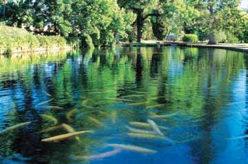 Tour 790 also includes a café lunch. HOBART Wilderness, Waterfalls and Wildlife.