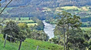 00 Walk the tree tops of pristine forest at Tahune Forest Airwalk having travelled the Huon River Valley, a region of tended fields, superb forest clad rivers and fishing villages set by picturesque